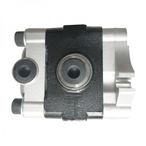 Hydraulic Pump Repair Parts Kit for Rexroth Uchida A10VD28 Takeuchi TB045 #90 XH #3 image