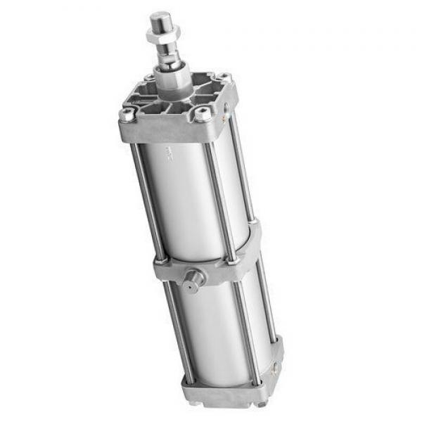 Bosch 0 822 222 005 Ø 50 H 125 822222005 Vérin Pneumatique Cylindre Compact #3 image