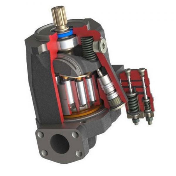 Pompe hydraulique (8 piston), s'adapte John Deere 1020 1120 2020 2120 3020 tracteurs. #3 image