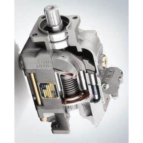 CITROEN XANTIA Diesel Td Pompe Hydraulique 6 + 2 pistons 4007F8 #3 image
