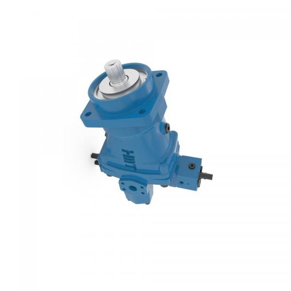 BOSCH REXROTH hydraulic axial piston fixed pump A17FO063/10NLWK0E81-0 R902162394 #1 image
