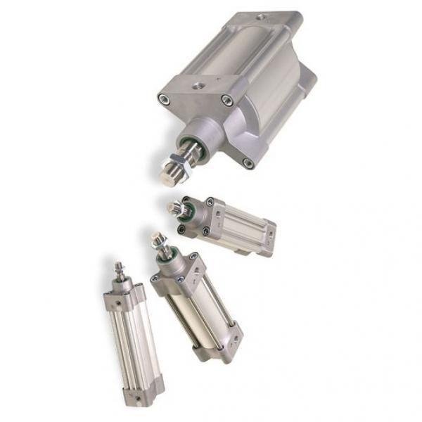 PARKER p1a-s010ss-0015 pneumatique cylindre ISO mini #2 image