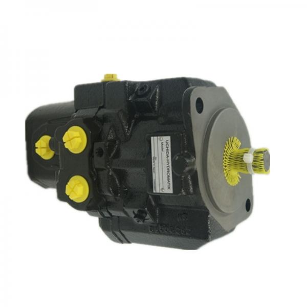Hydraulic Pump Repair Kit for Rexroth Uchida A10VD17 Komatsu PC30-7 Yanmar B-6 #2 image