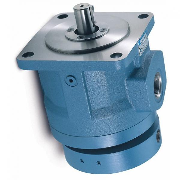 BOSCH REXROTH hydraulic axial piston fixed pump A17FO032/10NLWK0E81-0 R902162390 #1 image