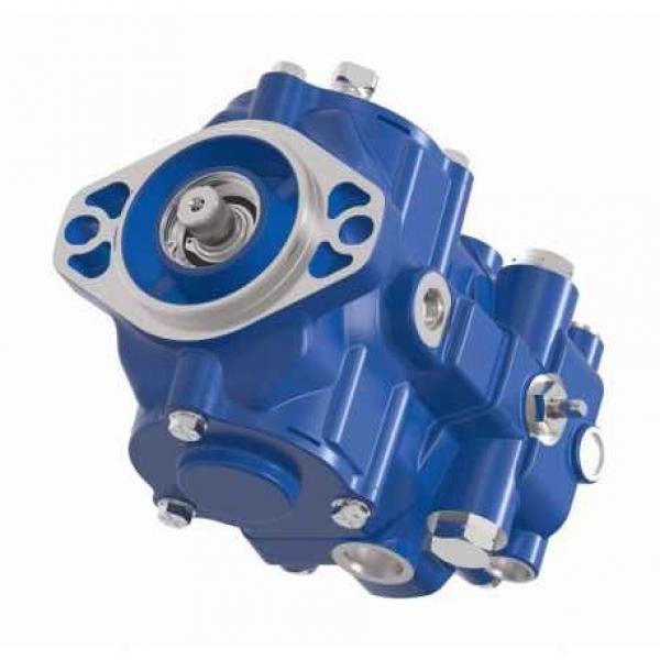 BOSCH REXROTH hydraulic axial piston fixed pump A17FO023/10NLWK0E81-0 R902162388 #1 image
